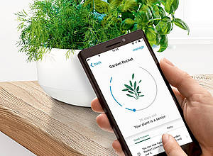 Bosch SmartGrow: Keine Transportwege, weniger Verpackungsmaterial und die direkte Verarbeitung der Ernte machen den SmartGrow zu einer besonders frischen und transparenten Lösung für die tägliche Ernährung