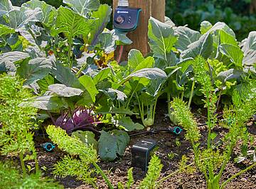 Gärtnern ist echte Handarbeit, doch Apps wie die kostenlose Gardena smart App und smarte Technik können Pflanzenfreunden helfen, ihre Schützlinge besser zu verstehen und zu pflegen
